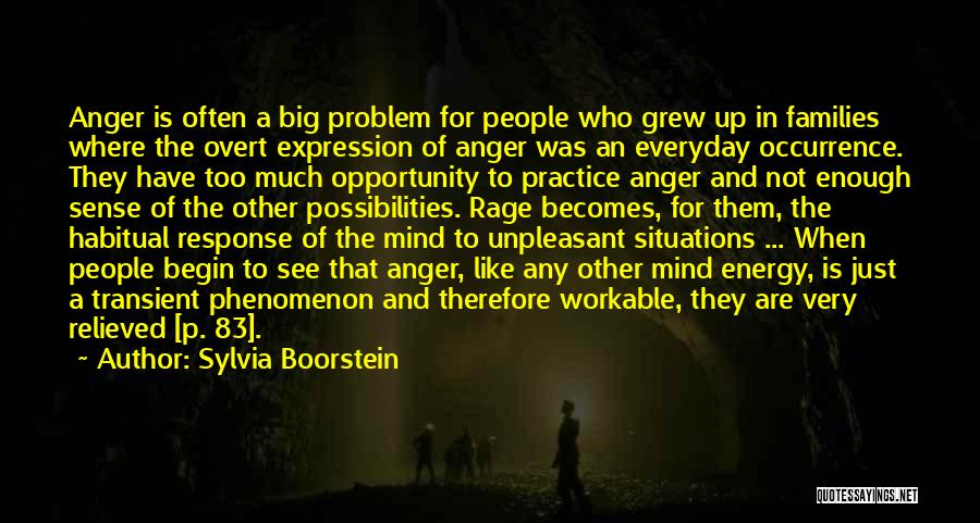 Sylvia Boorstein Quotes: Anger Is Often A Big Problem For People Who Grew Up In Families Where The Overt Expression Of Anger Was