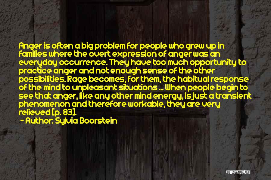 Sylvia Boorstein Quotes: Anger Is Often A Big Problem For People Who Grew Up In Families Where The Overt Expression Of Anger Was