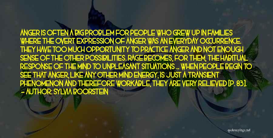 Sylvia Boorstein Quotes: Anger Is Often A Big Problem For People Who Grew Up In Families Where The Overt Expression Of Anger Was