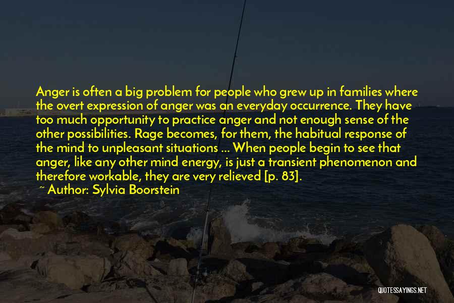 Sylvia Boorstein Quotes: Anger Is Often A Big Problem For People Who Grew Up In Families Where The Overt Expression Of Anger Was