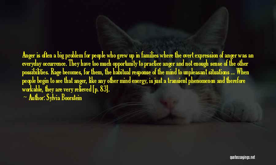 Sylvia Boorstein Quotes: Anger Is Often A Big Problem For People Who Grew Up In Families Where The Overt Expression Of Anger Was