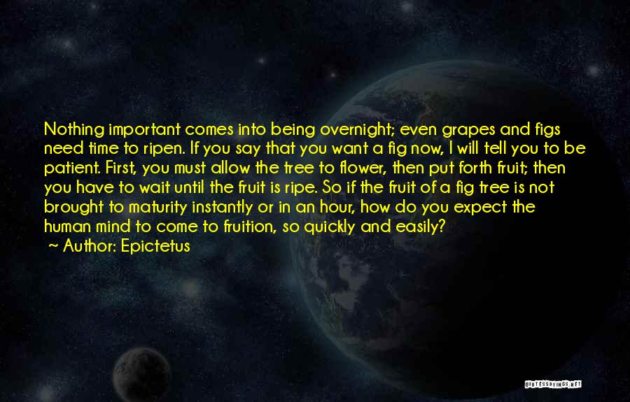 Epictetus Quotes: Nothing Important Comes Into Being Overnight; Even Grapes And Figs Need Time To Ripen. If You Say That You Want