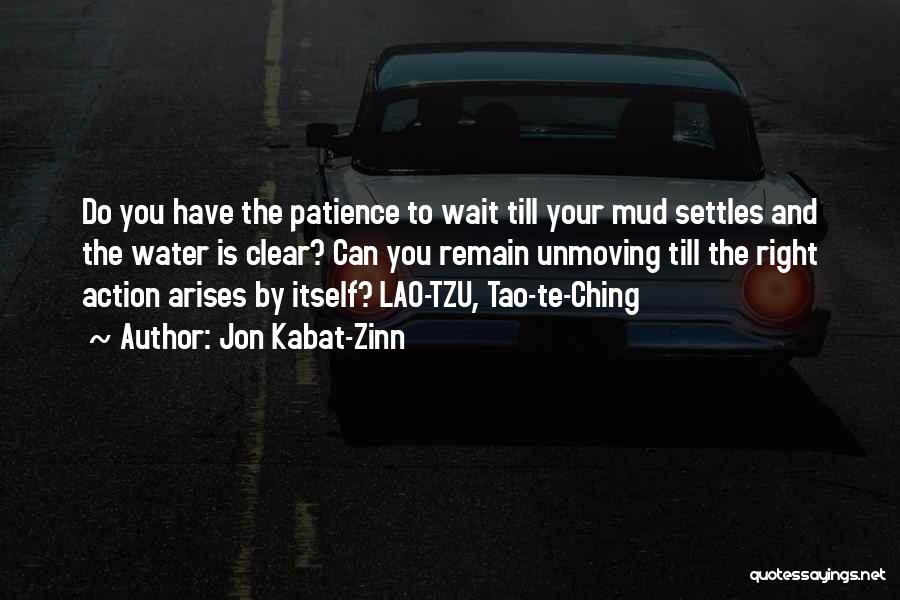 Jon Kabat-Zinn Quotes: Do You Have The Patience To Wait Till Your Mud Settles And The Water Is Clear? Can You Remain Unmoving