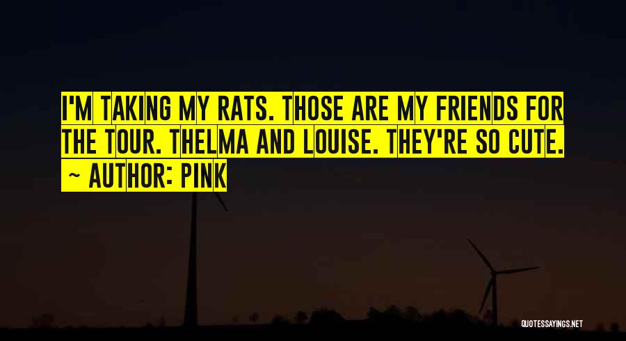 Pink Quotes: I'm Taking My Rats. Those Are My Friends For The Tour. Thelma And Louise. They're So Cute.