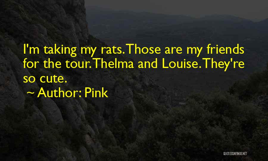 Pink Quotes: I'm Taking My Rats. Those Are My Friends For The Tour. Thelma And Louise. They're So Cute.