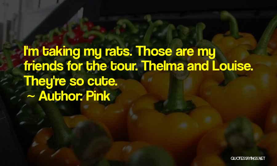 Pink Quotes: I'm Taking My Rats. Those Are My Friends For The Tour. Thelma And Louise. They're So Cute.