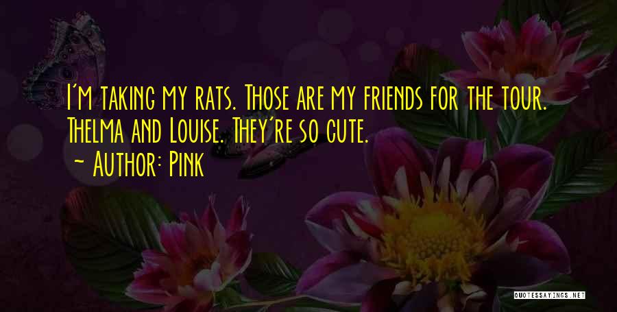 Pink Quotes: I'm Taking My Rats. Those Are My Friends For The Tour. Thelma And Louise. They're So Cute.