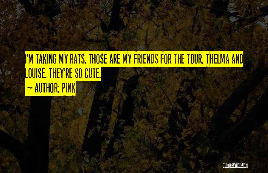 Pink Quotes: I'm Taking My Rats. Those Are My Friends For The Tour. Thelma And Louise. They're So Cute.