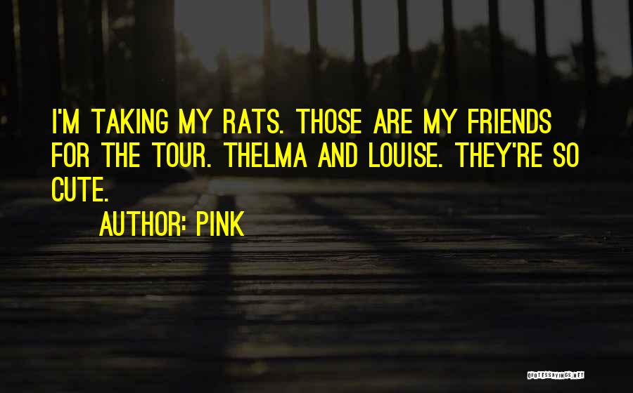 Pink Quotes: I'm Taking My Rats. Those Are My Friends For The Tour. Thelma And Louise. They're So Cute.