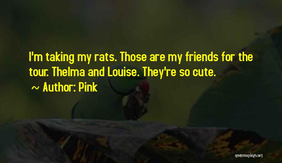 Pink Quotes: I'm Taking My Rats. Those Are My Friends For The Tour. Thelma And Louise. They're So Cute.