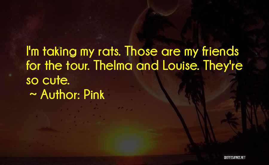 Pink Quotes: I'm Taking My Rats. Those Are My Friends For The Tour. Thelma And Louise. They're So Cute.