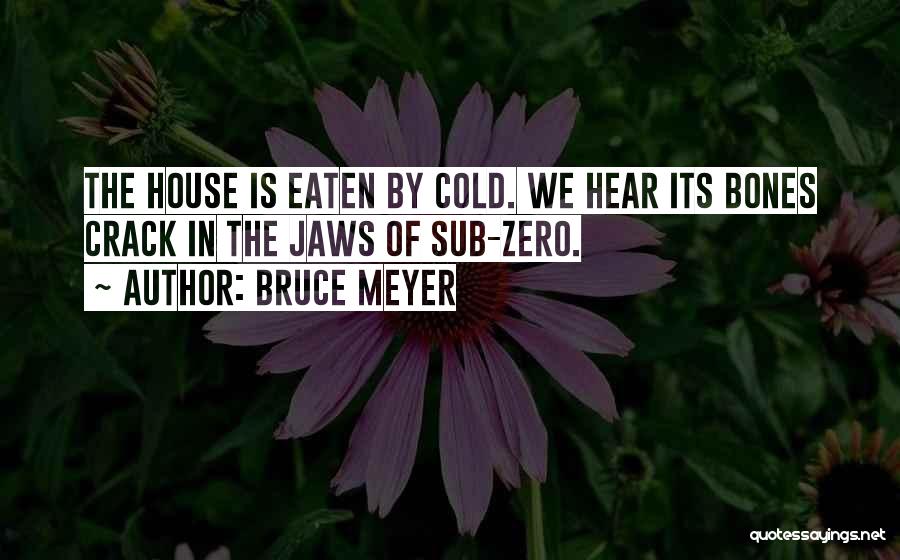 Bruce Meyer Quotes: The House Is Eaten By Cold. We Hear Its Bones Crack In The Jaws Of Sub-zero.
