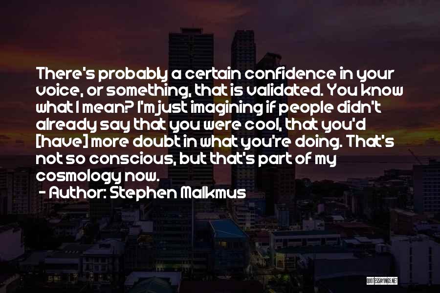 Stephen Malkmus Quotes: There's Probably A Certain Confidence In Your Voice, Or Something, That Is Validated. You Know What I Mean? I'm Just