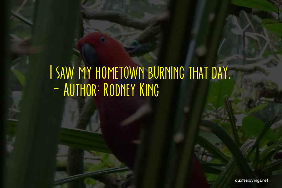 Rodney King Quotes: I Saw My Hometown Burning That Day.