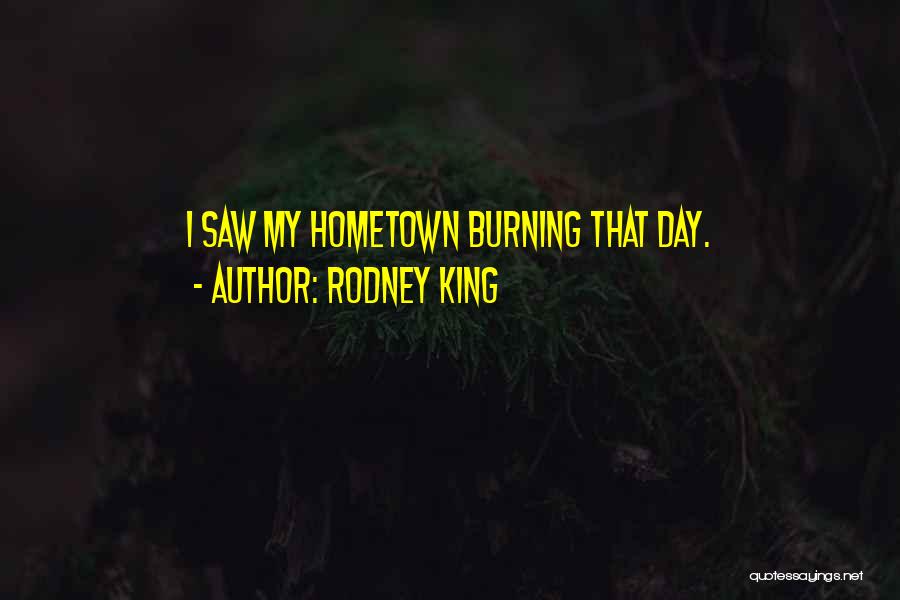 Rodney King Quotes: I Saw My Hometown Burning That Day.