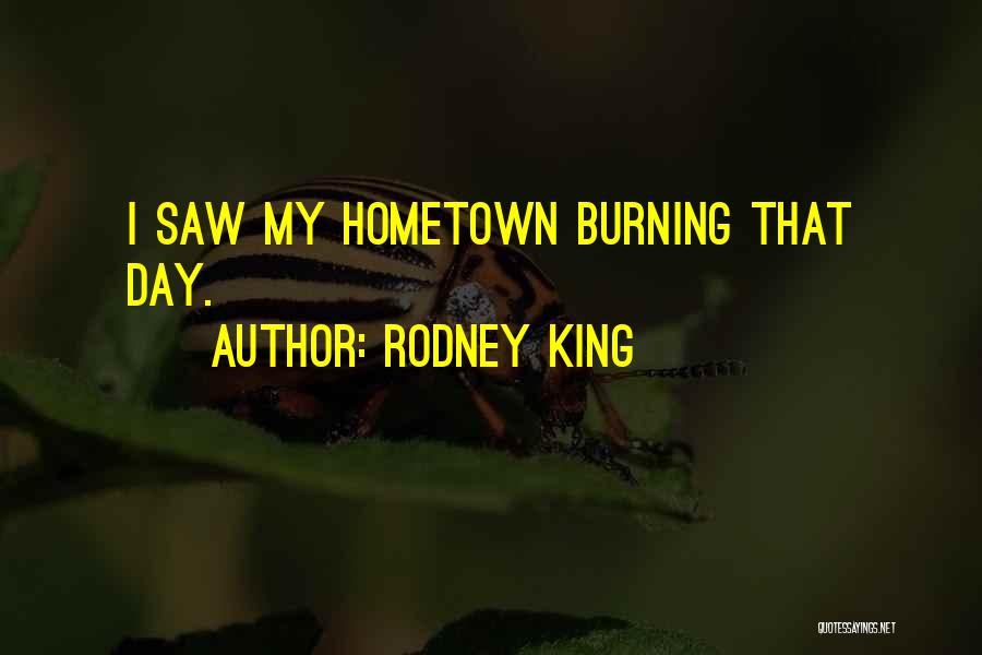 Rodney King Quotes: I Saw My Hometown Burning That Day.