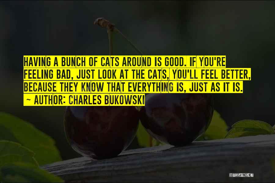 Charles Bukowski Quotes: Having A Bunch Of Cats Around Is Good. If You're Feeling Bad, Just Look At The Cats, You'll Feel Better,