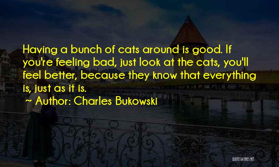 Charles Bukowski Quotes: Having A Bunch Of Cats Around Is Good. If You're Feeling Bad, Just Look At The Cats, You'll Feel Better,