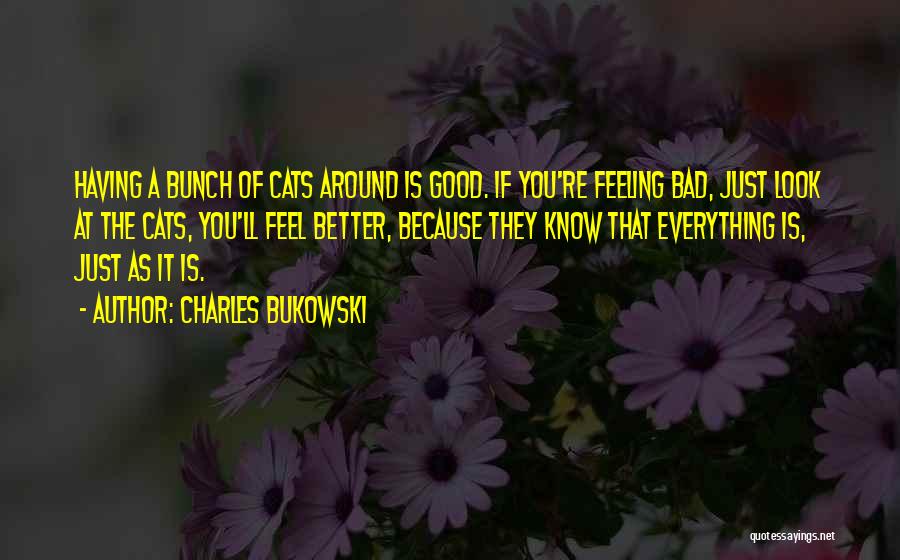 Charles Bukowski Quotes: Having A Bunch Of Cats Around Is Good. If You're Feeling Bad, Just Look At The Cats, You'll Feel Better,