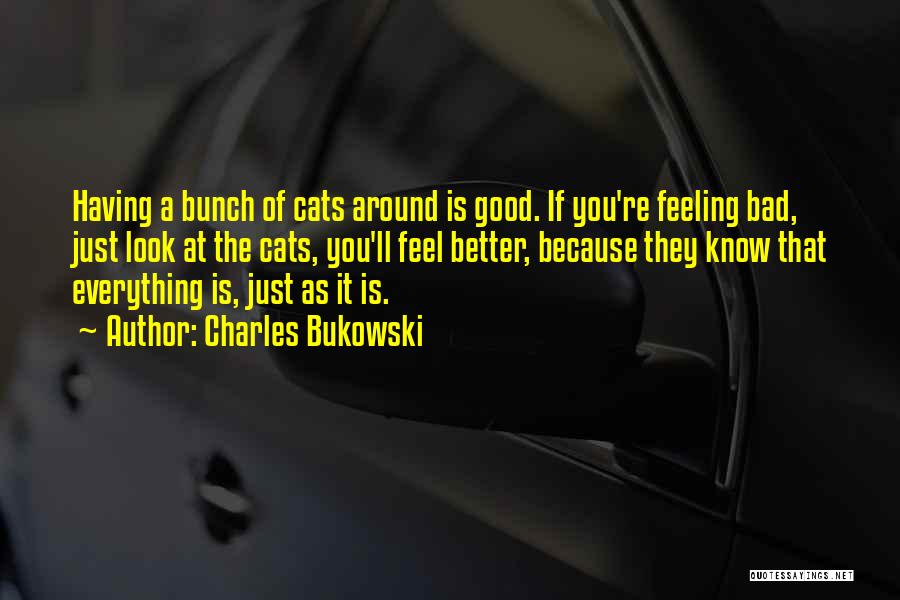 Charles Bukowski Quotes: Having A Bunch Of Cats Around Is Good. If You're Feeling Bad, Just Look At The Cats, You'll Feel Better,