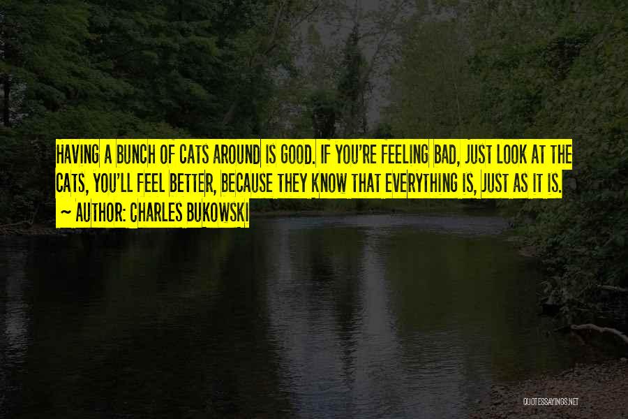 Charles Bukowski Quotes: Having A Bunch Of Cats Around Is Good. If You're Feeling Bad, Just Look At The Cats, You'll Feel Better,