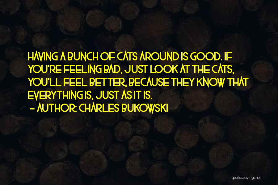 Charles Bukowski Quotes: Having A Bunch Of Cats Around Is Good. If You're Feeling Bad, Just Look At The Cats, You'll Feel Better,