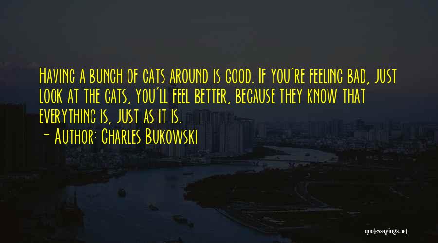 Charles Bukowski Quotes: Having A Bunch Of Cats Around Is Good. If You're Feeling Bad, Just Look At The Cats, You'll Feel Better,