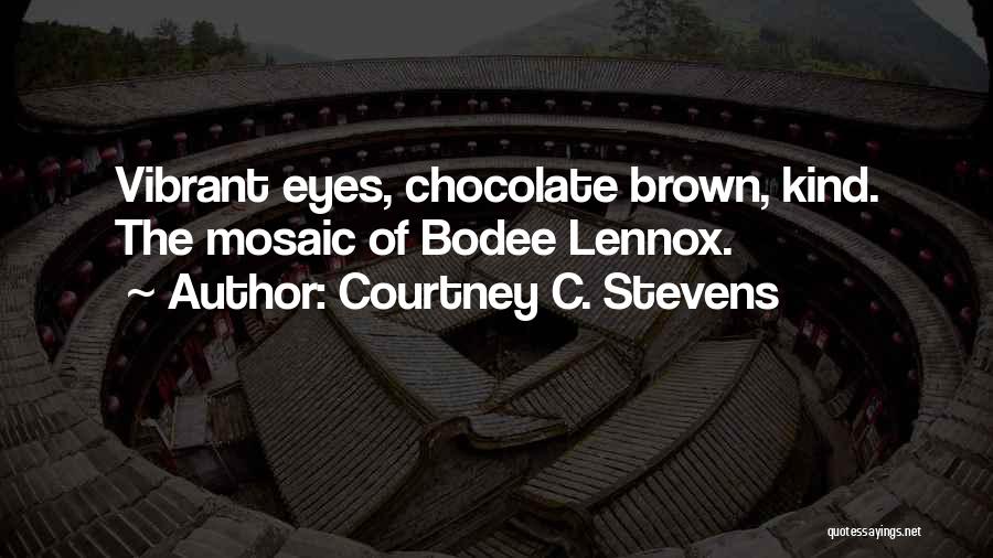Courtney C. Stevens Quotes: Vibrant Eyes, Chocolate Brown, Kind. The Mosaic Of Bodee Lennox.