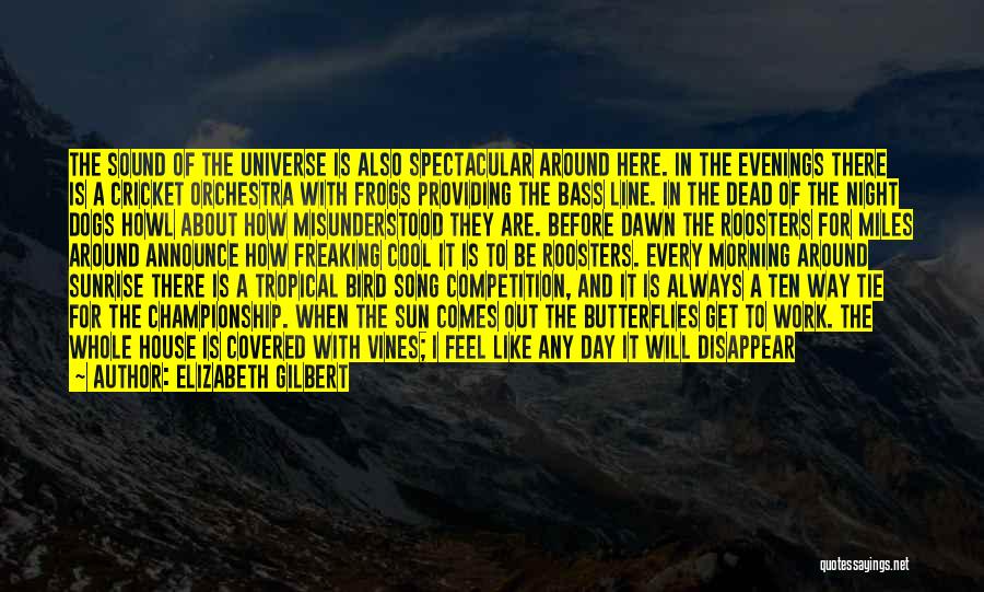 Elizabeth Gilbert Quotes: The Sound Of The Universe Is Also Spectacular Around Here. In The Evenings There Is A Cricket Orchestra With Frogs