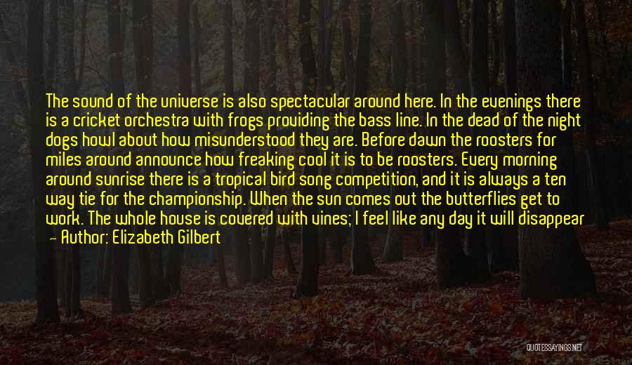 Elizabeth Gilbert Quotes: The Sound Of The Universe Is Also Spectacular Around Here. In The Evenings There Is A Cricket Orchestra With Frogs