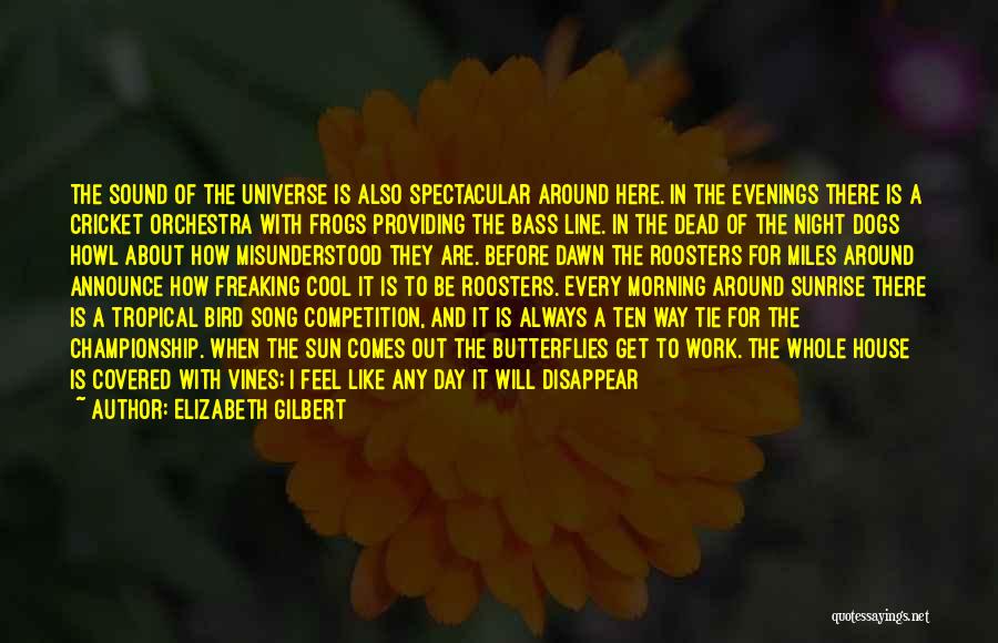 Elizabeth Gilbert Quotes: The Sound Of The Universe Is Also Spectacular Around Here. In The Evenings There Is A Cricket Orchestra With Frogs
