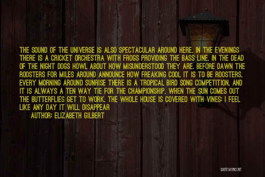 Elizabeth Gilbert Quotes: The Sound Of The Universe Is Also Spectacular Around Here. In The Evenings There Is A Cricket Orchestra With Frogs