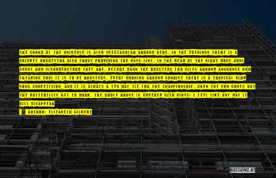 Elizabeth Gilbert Quotes: The Sound Of The Universe Is Also Spectacular Around Here. In The Evenings There Is A Cricket Orchestra With Frogs