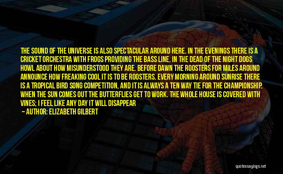 Elizabeth Gilbert Quotes: The Sound Of The Universe Is Also Spectacular Around Here. In The Evenings There Is A Cricket Orchestra With Frogs