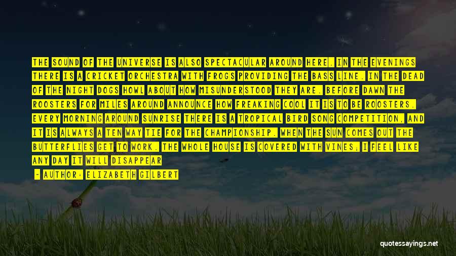 Elizabeth Gilbert Quotes: The Sound Of The Universe Is Also Spectacular Around Here. In The Evenings There Is A Cricket Orchestra With Frogs