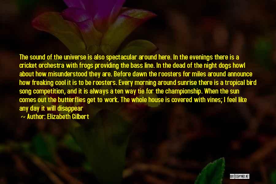 Elizabeth Gilbert Quotes: The Sound Of The Universe Is Also Spectacular Around Here. In The Evenings There Is A Cricket Orchestra With Frogs