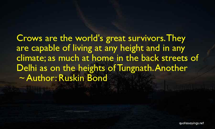 Ruskin Bond Quotes: Crows Are The World's Great Survivors. They Are Capable Of Living At Any Height And In Any Climate; As Much