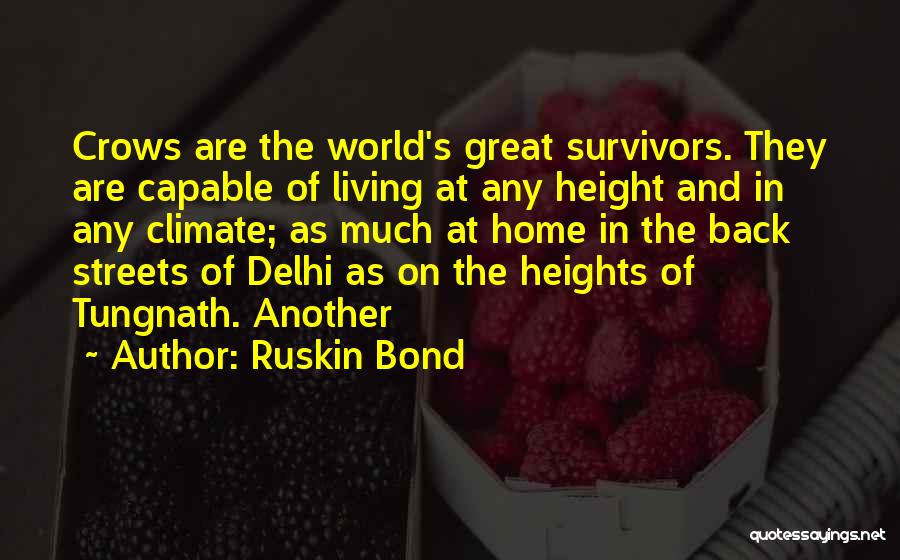 Ruskin Bond Quotes: Crows Are The World's Great Survivors. They Are Capable Of Living At Any Height And In Any Climate; As Much