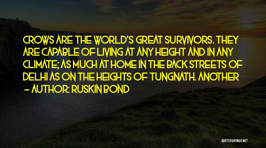 Ruskin Bond Quotes: Crows Are The World's Great Survivors. They Are Capable Of Living At Any Height And In Any Climate; As Much