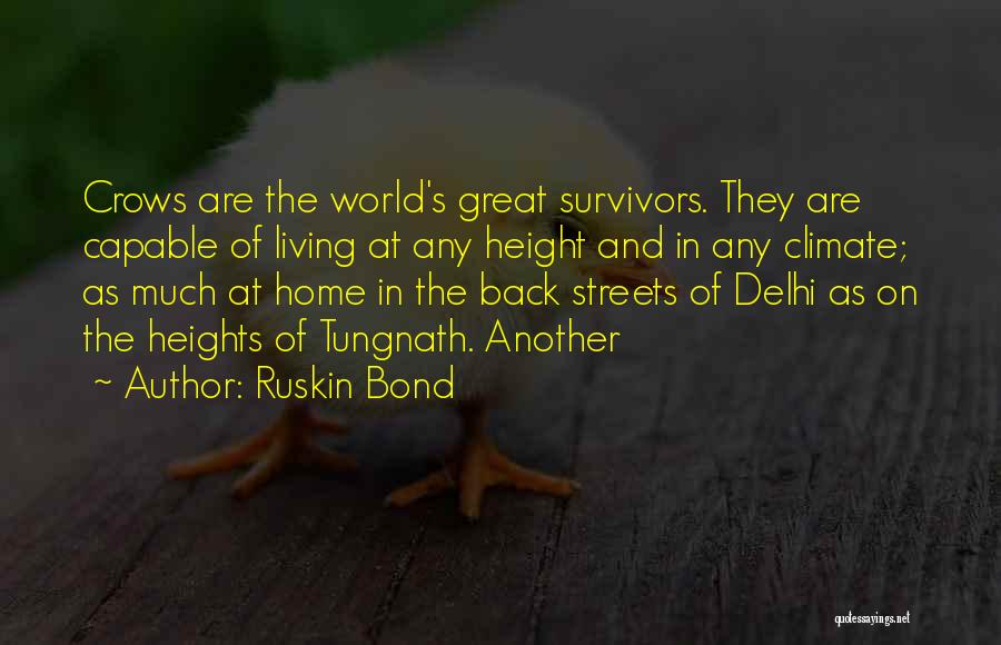 Ruskin Bond Quotes: Crows Are The World's Great Survivors. They Are Capable Of Living At Any Height And In Any Climate; As Much