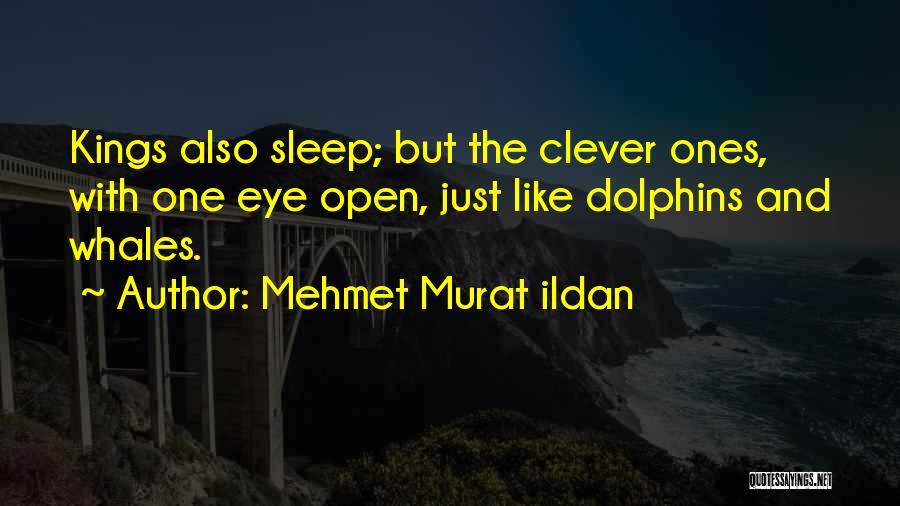 Mehmet Murat Ildan Quotes: Kings Also Sleep; But The Clever Ones, With One Eye Open, Just Like Dolphins And Whales.