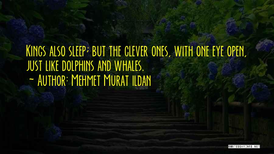 Mehmet Murat Ildan Quotes: Kings Also Sleep; But The Clever Ones, With One Eye Open, Just Like Dolphins And Whales.