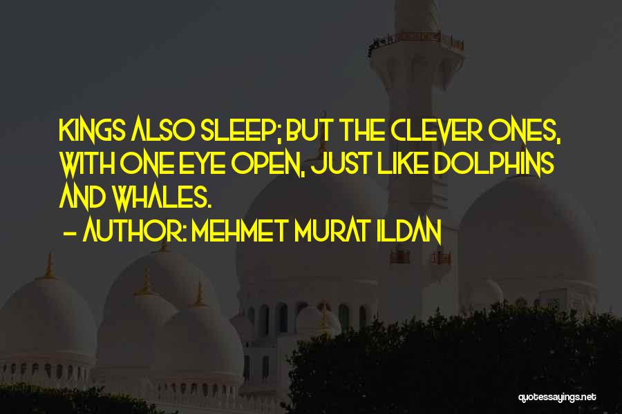 Mehmet Murat Ildan Quotes: Kings Also Sleep; But The Clever Ones, With One Eye Open, Just Like Dolphins And Whales.