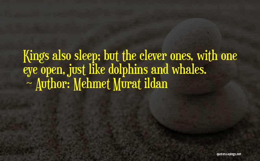 Mehmet Murat Ildan Quotes: Kings Also Sleep; But The Clever Ones, With One Eye Open, Just Like Dolphins And Whales.