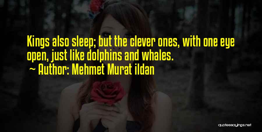 Mehmet Murat Ildan Quotes: Kings Also Sleep; But The Clever Ones, With One Eye Open, Just Like Dolphins And Whales.