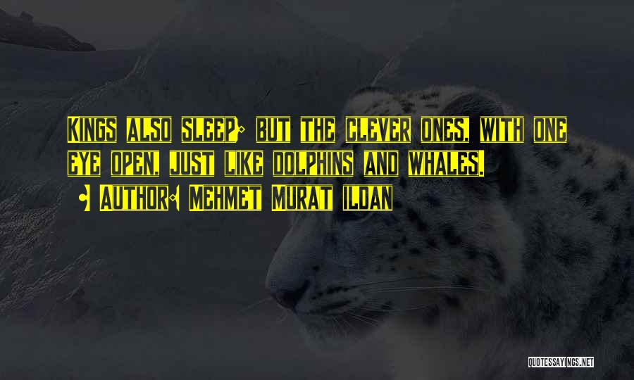 Mehmet Murat Ildan Quotes: Kings Also Sleep; But The Clever Ones, With One Eye Open, Just Like Dolphins And Whales.