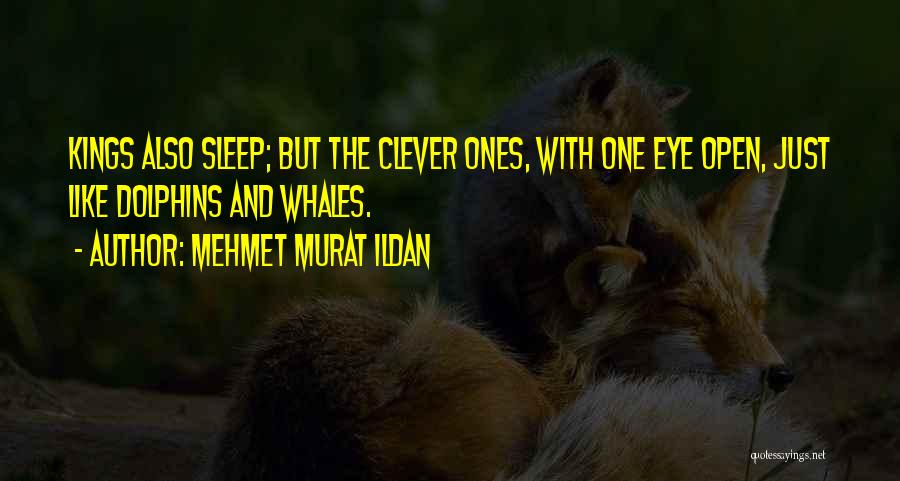 Mehmet Murat Ildan Quotes: Kings Also Sleep; But The Clever Ones, With One Eye Open, Just Like Dolphins And Whales.