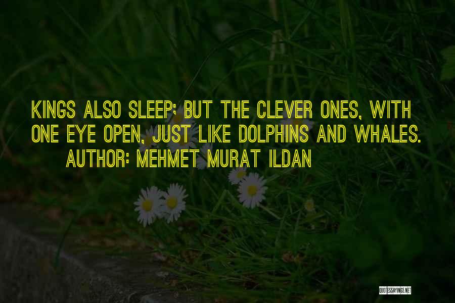 Mehmet Murat Ildan Quotes: Kings Also Sleep; But The Clever Ones, With One Eye Open, Just Like Dolphins And Whales.