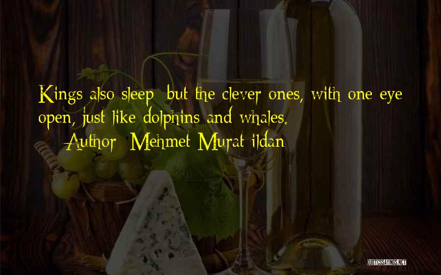 Mehmet Murat Ildan Quotes: Kings Also Sleep; But The Clever Ones, With One Eye Open, Just Like Dolphins And Whales.