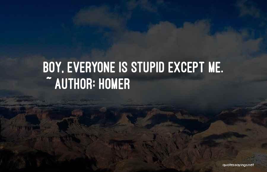 Homer Quotes: Boy, Everyone Is Stupid Except Me.